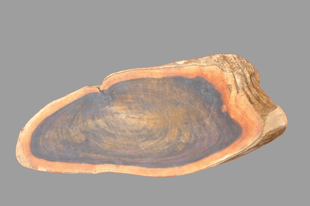 בוצר חיתוך/ לדג/בשר