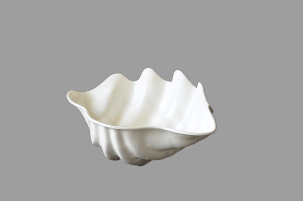 צדפה לעיצוב מזנון