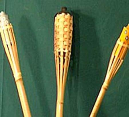 לפיד דוחה יתושים